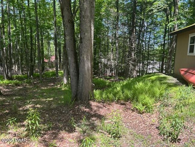 Back Yard | Image 19