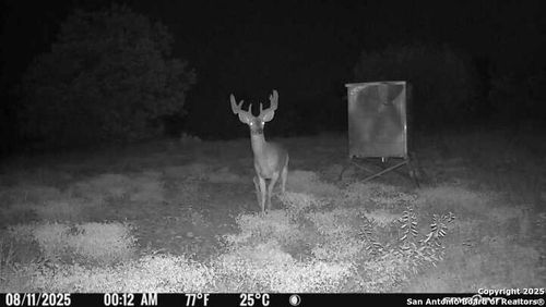 TBD Sd 45453, Rocksprings, TX, 78880 | Card Image