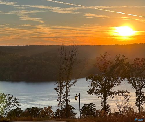 46 Treetop Drive, Guntersville, AL, 35976 | Card Image
