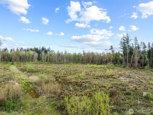 4949 Jackson Hwy, Home with 0 bedrooms, 0 bathrooms and null parking in Toledo WA | Image 5