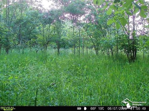 5901 Milan Oakville Rd, Milan, MI, 48160-9000 | Card Image