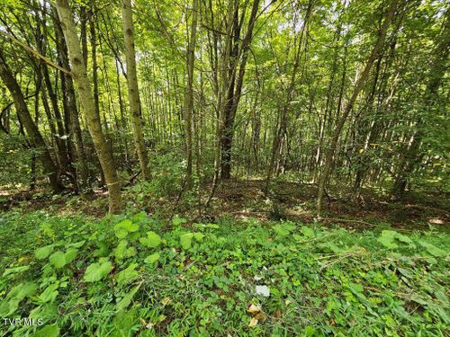 13.51 Acre Cartwright Road, Rowe, VA, 24646 | Card Image