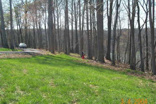 Lot 32 Laurel Wood Ln, Nancy, KY, 42544-7694 | Card Image