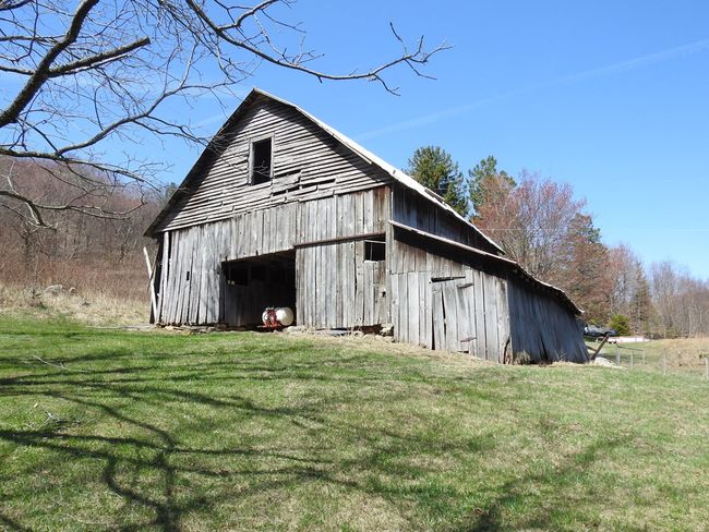 984 Cloverdale Rd, House other with 4 bedrooms, 1 bathrooms and null parking in Independence VA | Image 28