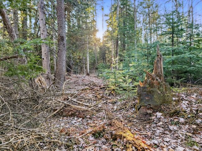 450 Sauble Falls Pky, Home with 0 bedrooms, 0 bathrooms and null parking in Sauble Beach ON | Image 36