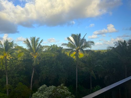 apt-c306-3-3400 Kuhio Hwy, Lihue, HI, 96766-1059 | Card Image