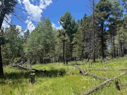 44 Calle De Los Indios, Angel Fire, NM, 87710 | Card Image