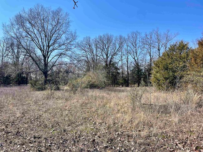 000 Brewer Rd, Home with 0 bedrooms, 0 bathrooms and null parking in Conway AR | Image 28