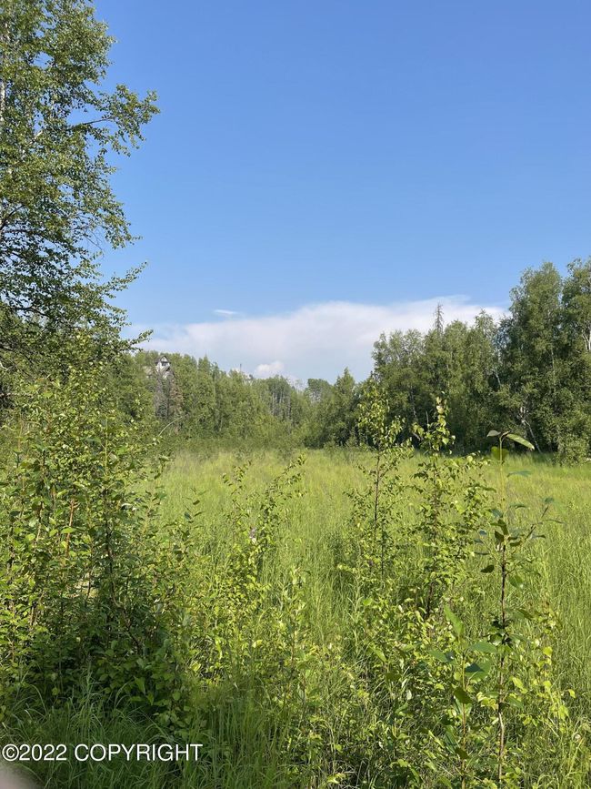 Open Space on Lot | Image 21
