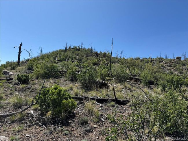 29 18 X, Home with 0 bedrooms, 0 bathrooms and null parking in Cotopaxi CO | Image 37