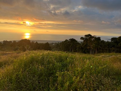 84-5186 Mamalahoa Hwy, Captain Cook, HI, 96704-8406 | Card Image