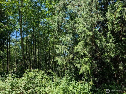 21646 Snowden Ln, Mount Vernon, WA, 98274 | Card Image