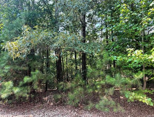 10 Nina Dr, Hot Springs Village, AR, 71909-8116 | Card Image