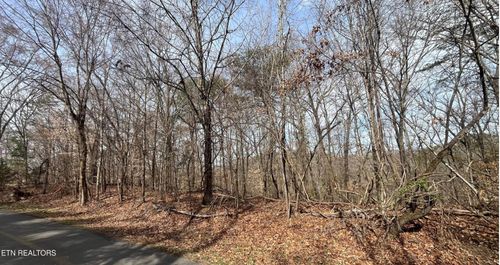 0 Mountain View Ln, White Pine, TN, 37890 | Card Image