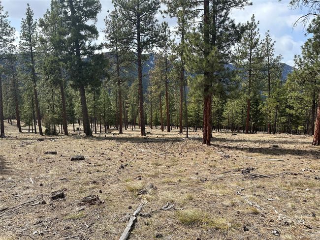 31760 Old Highway 10 W, Home with 0 bedrooms, 0 bathrooms and null parking in Alberton MT | Image 22