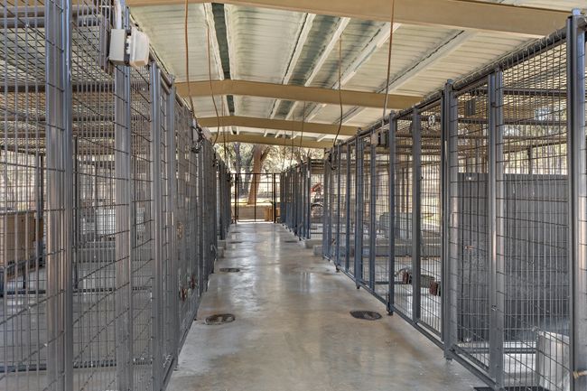 Kennels | Image 36