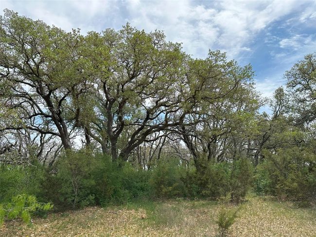 View of nature | Image 4