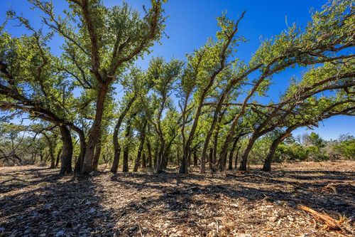 0000 Keese Rd, Fredericksburg, TX, 78624 | Card Image