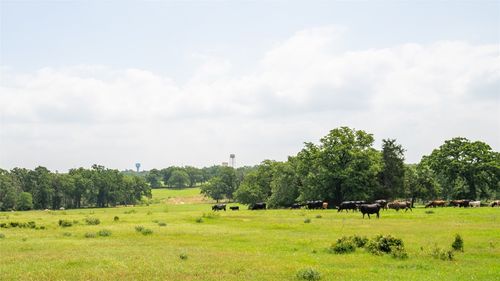 624 County Road 306, Rockdale, TX, 76567-5209 | Card Image