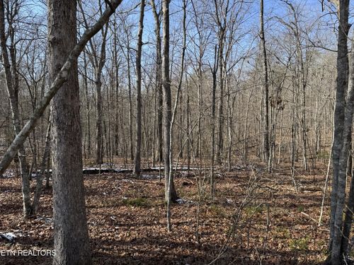 0 Belmont Cir, Monterey, TN, 38574 | Card Image