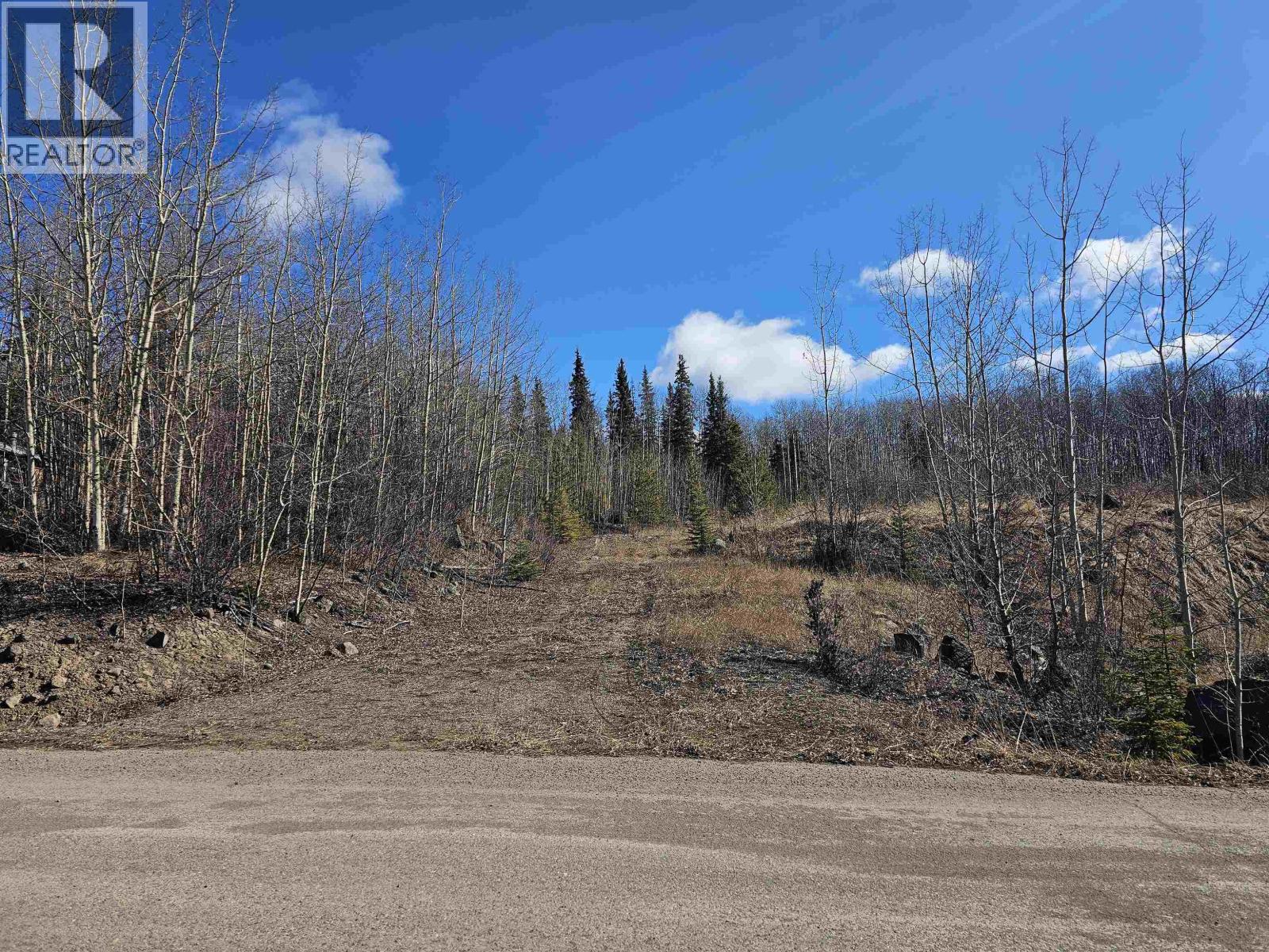 Land in Burns Lake 2