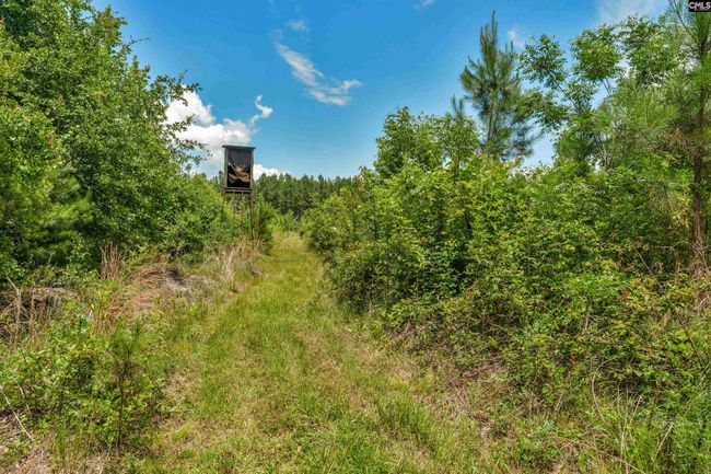0000 N Brewington Rd, Home with 0 bedrooms, 0 bathrooms and null parking in Manning SC | Image 69
