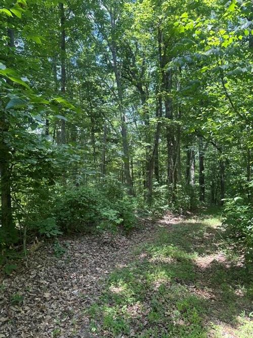 0 Ward Fork Rd, Whitleyville, TN, 38588 | Card Image