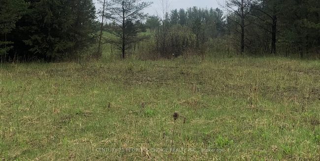 6081 Hwy 89, Clifford Road, Home with 0 bedrooms, 0 bathrooms and null parking in Minto ON | Image 6