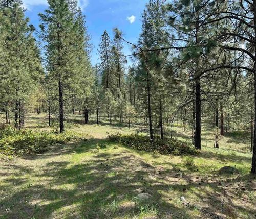 Lot #2 N Junco Way, Kettle Falls, WA, 99141 | Card Image