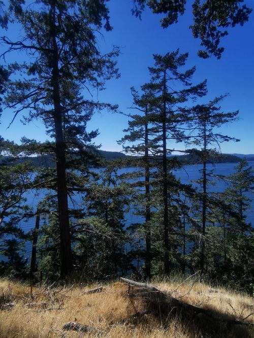 Lot 9 Beechwood Dr, Mayne Island, BC, V0N | Card Image