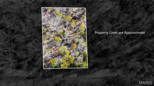 10314 Lake Hill Trl, Hillsboro, MO, 63050-5532 | Card Image