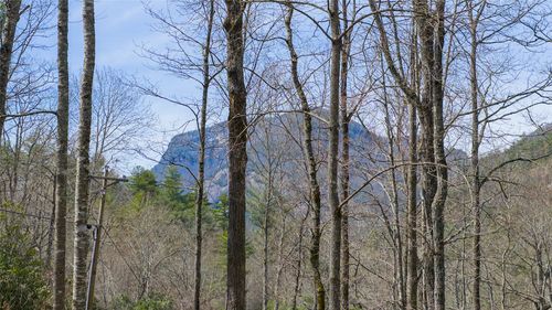 Lot 17 Saratay Falls Drive, Cashiers, NC, 28717 | Card Image