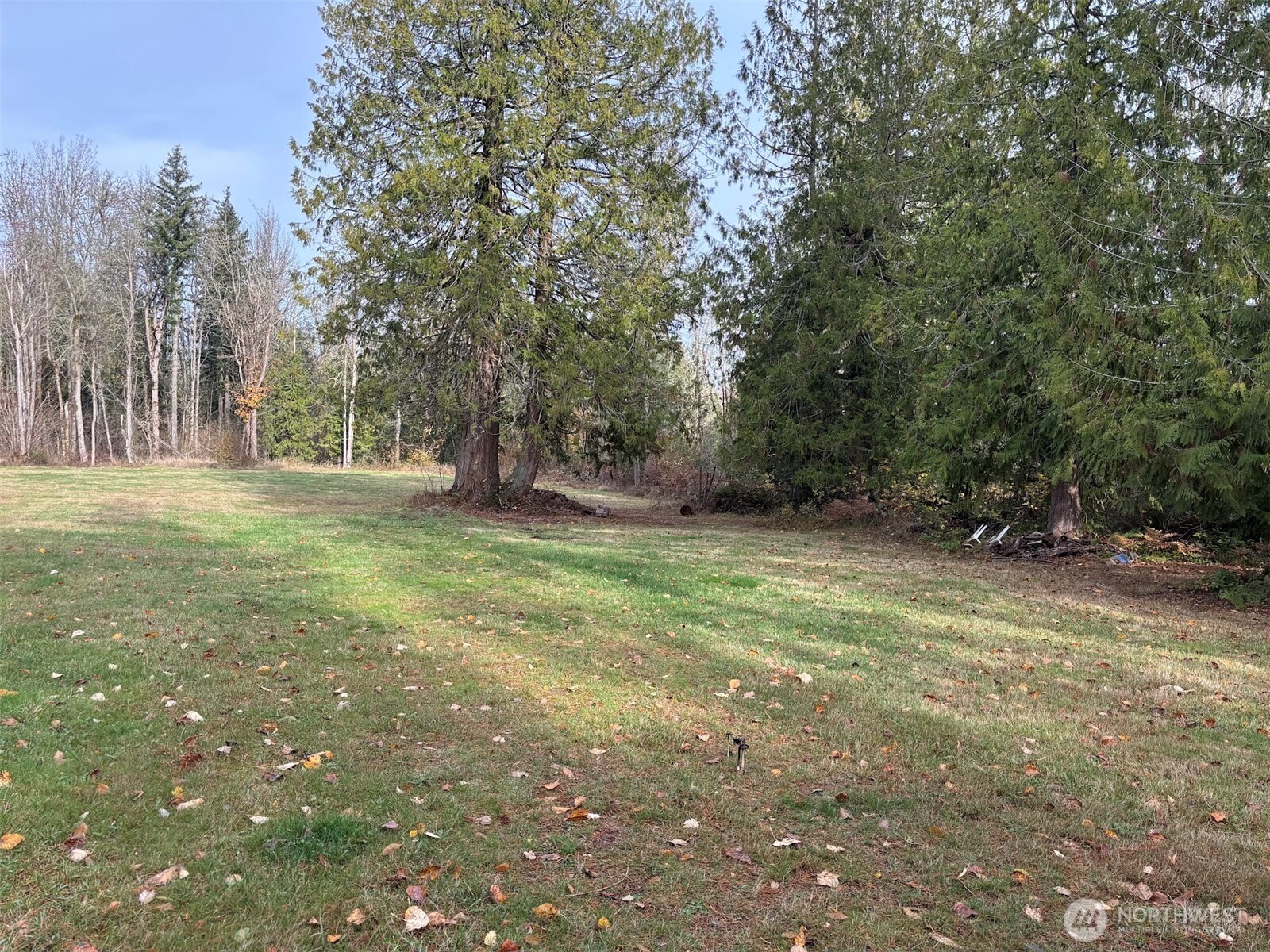 Land in Yelm