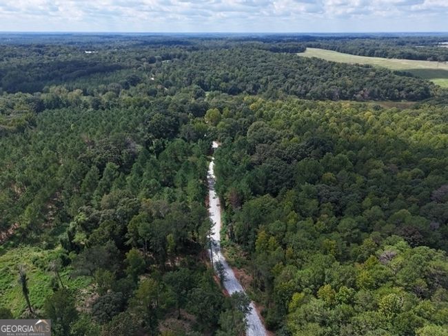 TRACT-12 - 0 Sanford Dr, Home with 0 bedrooms, 0 bathrooms and null parking in Nicholson GA | Image 4