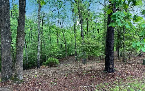 LOT 7 Brasstown, Brasstown, NC, 28902 | Card Image