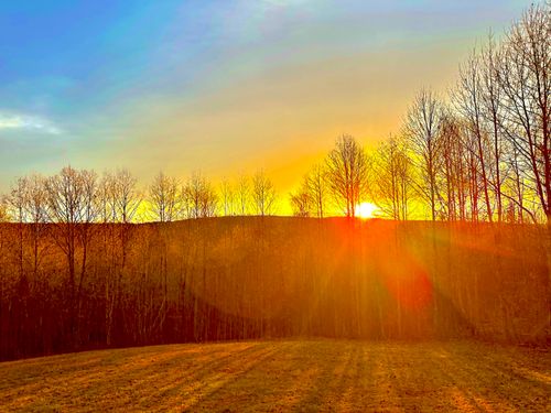 967 Walden Dr, Signal Mountain, TN, 37377-1863 | Card Image