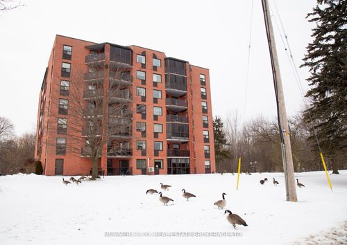 704-5 Mill Pond Crt, Simcoe, ON, N3Y5J6 | Card Image