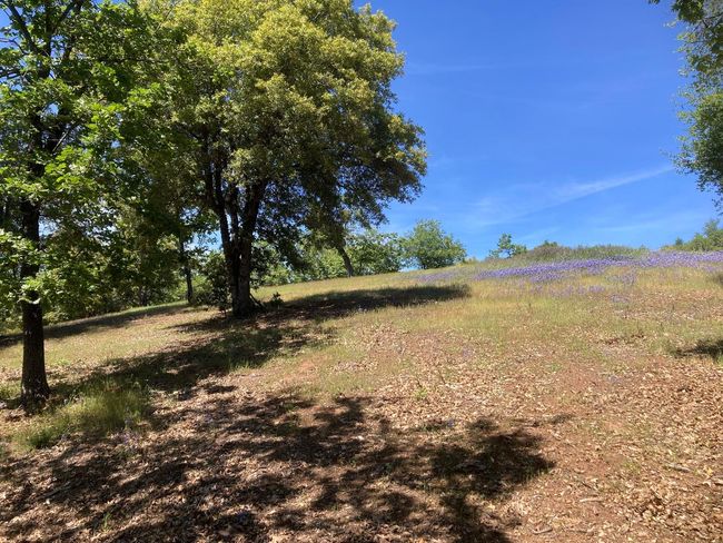 16688 Sonshine Ln, Home with 0 bedrooms, 0 bathrooms and null parking in Sutter Creek CA | Image 37