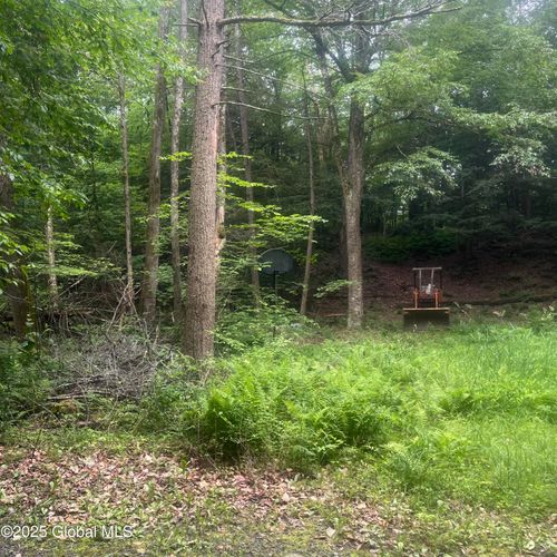 40 Rainbow Way, Whitehall, NY, 12887 | Card Image