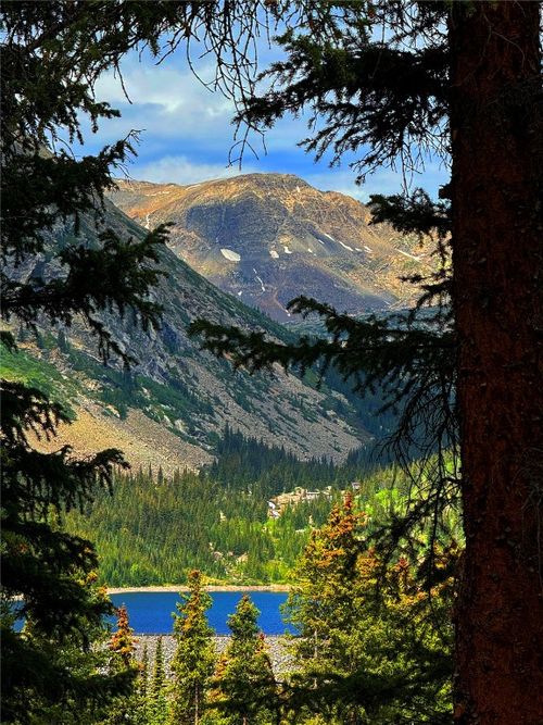 157 Goldfinch Pl, ALMA, CO, 80420 | Card Image