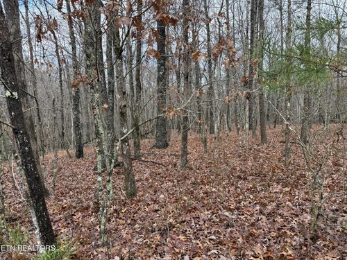 0 Icy Cove Trl, Monterey, TN, 38574 | Card Image