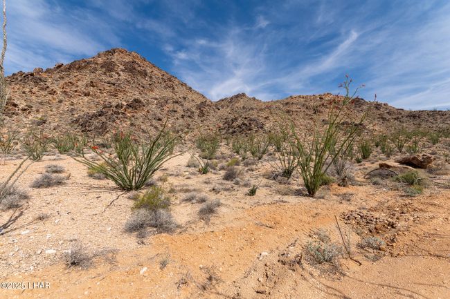 15721 S Roy Rogers Rd, House other with 1 bedrooms, 1 bathrooms and null parking in Yucca AZ | Image 20