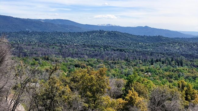 4632 Triangle Rd, Home with 0 bedrooms, 0 bathrooms and null parking in Mariposa CA | Image 18