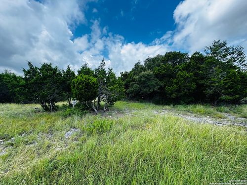 317 Cr Rd 273, Mico, TX, 78056 | Card Image