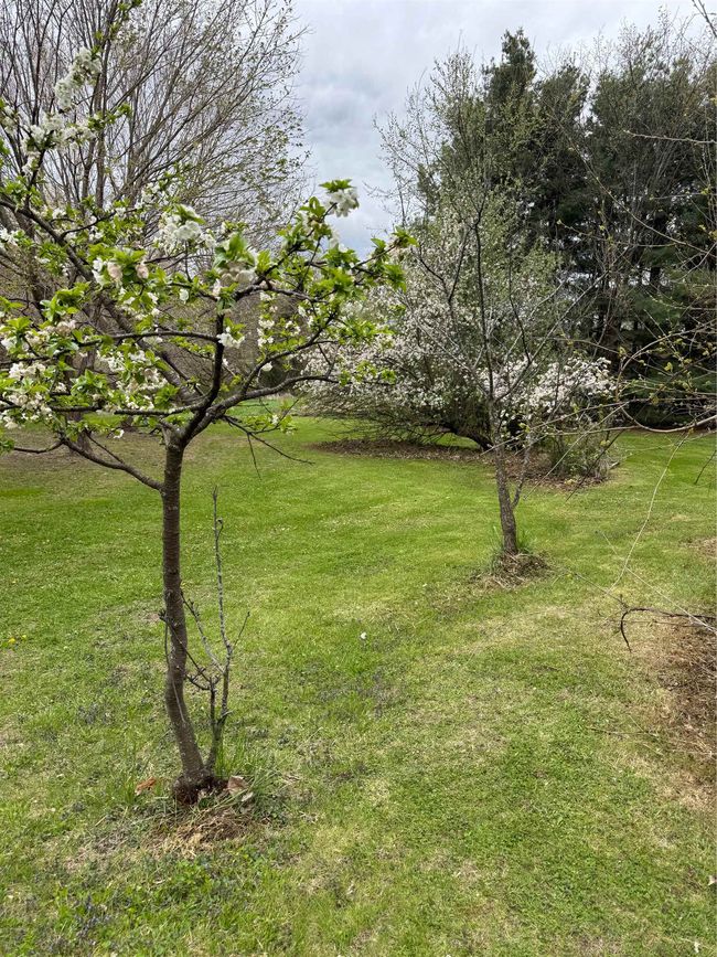 14350 Trask Bridge Rd, House other with 4 bedrooms, 3 bathrooms and null parking in DURAND IL | Image 81