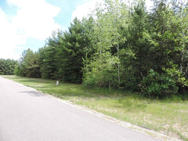 Lot 17 W Buck Run Rd, Home with 0 bedrooms, 0 bathrooms and null parking in Lone Rock WI | Image 4