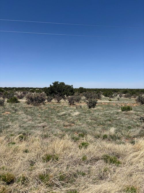 47 Lost Saddle Loop, Santa Rosa, NM, 88435 | Card Image