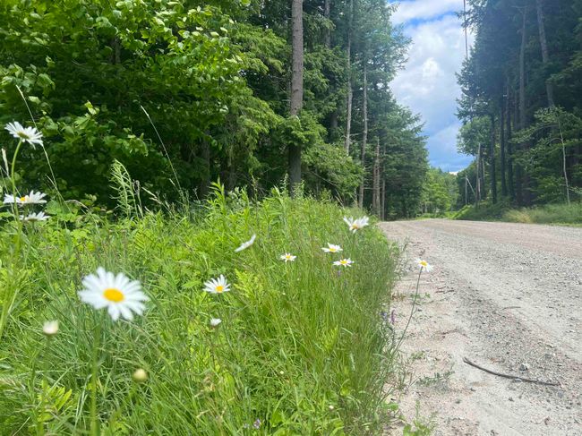 3483 Popple Dungeon Rd, House other with 2 bedrooms, 2 bathrooms and null parking in Chester VT | Image 29