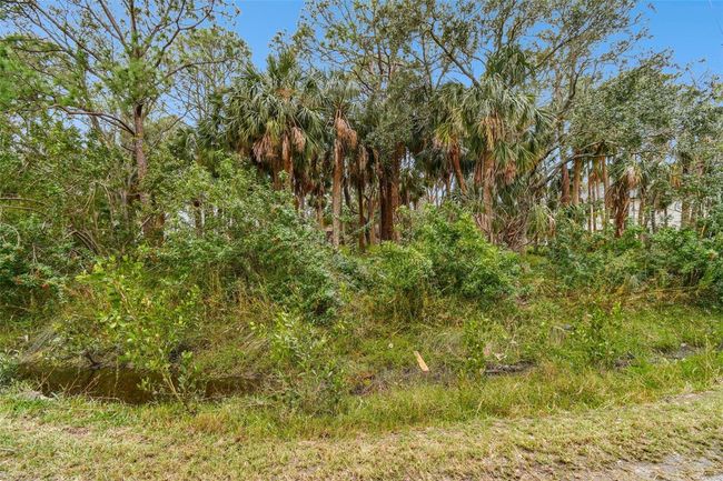 00 Phoenix Ave, Home with 0 bedrooms, 0 bathrooms and null parking in OLDSMAR FL | Image 25