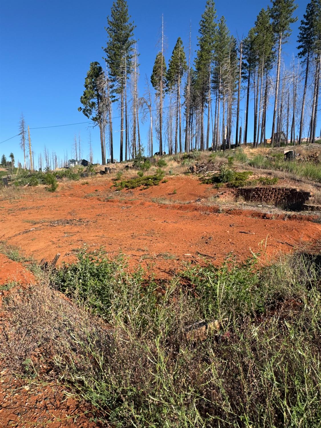 Land in Grizzly Flats 5